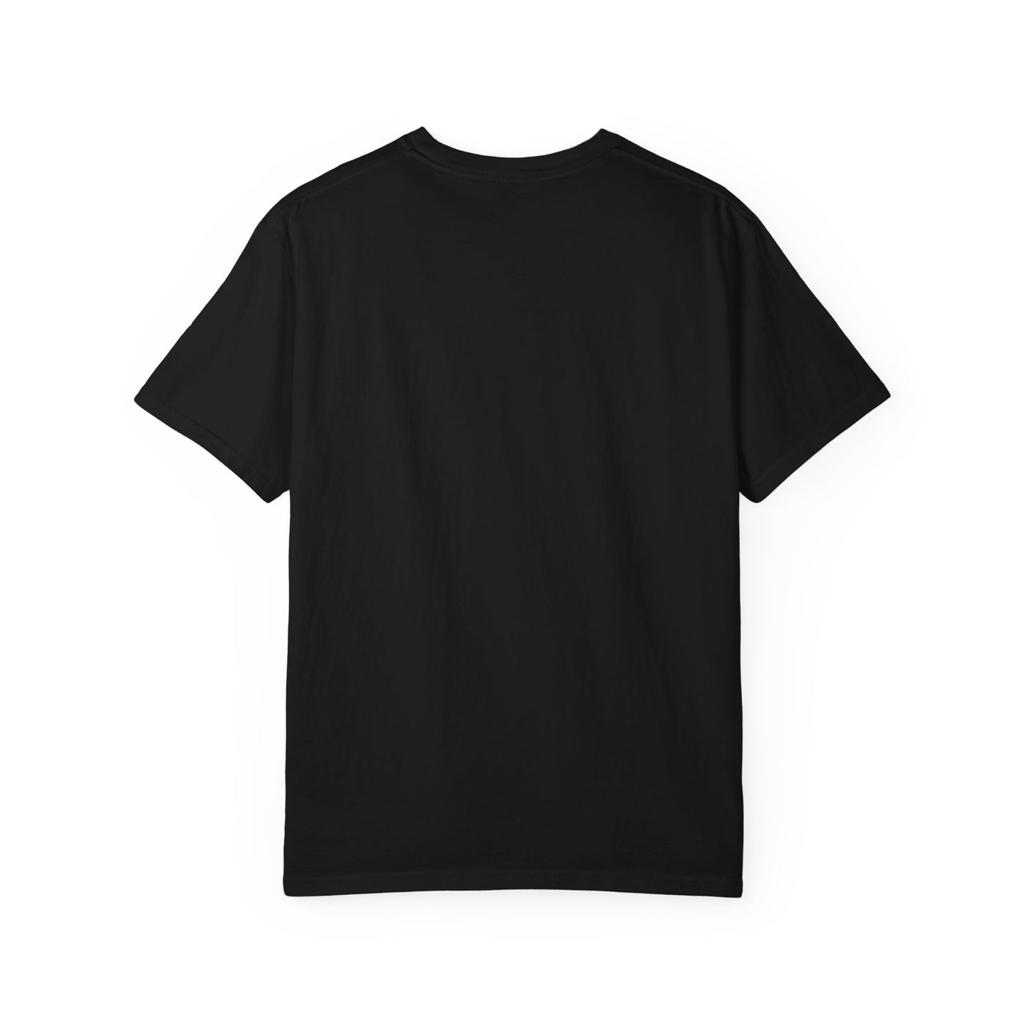 Graphic T-Shirt, Unisex Band Tee, Vintage Rock Apparel, Music Lover Gift, Casual Style Clothing